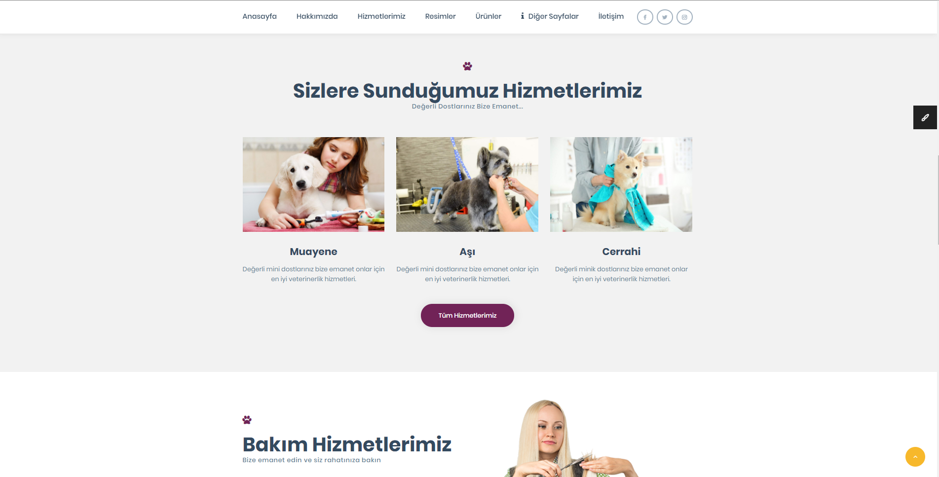 Veteriner Hazır Web Sitesi